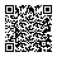 Kod QR dla numeru telefonu +2693837994