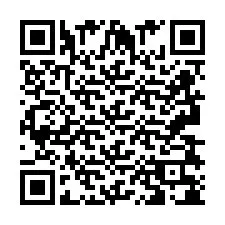 QR-koodi puhelinnumerolle +2693838009