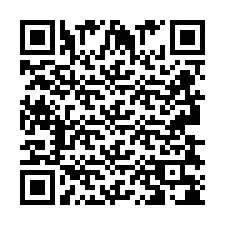 QR-code voor telefoonnummer +2693838016