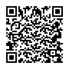 Codice QR per il numero di telefono +2693838017