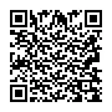 QR-code voor telefoonnummer +2693838025