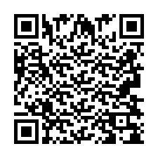 Codice QR per il numero di telefono +2693838027