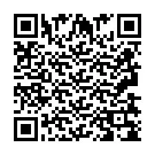 QR-Code für Telefonnummer +2693838041