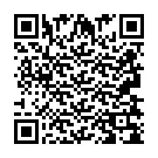 Codice QR per il numero di telefono +2693838043