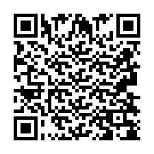 QR-code voor telefoonnummer +2693838063