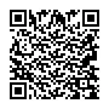 Codice QR per il numero di telefono +2693838067