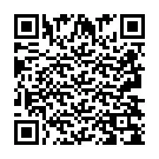 QR Code pour le numéro de téléphone +2693838068