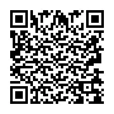 QR-code voor telefoonnummer +2693838080