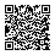 QR-code voor telefoonnummer +2693838086