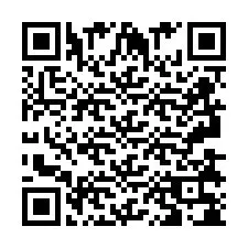 Codice QR per il numero di telefono +2693838090