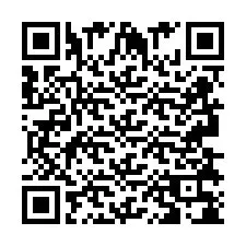 QR-code voor telefoonnummer +2693838096