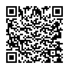 QR код за телефонен номер +2693838098