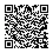 QR-code voor telefoonnummer +2693838100