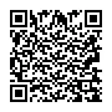 QR код за телефонен номер +2693838105