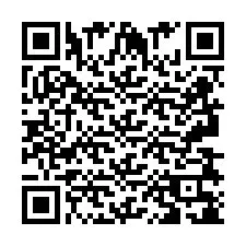 QR код за телефонен номер +2693838108