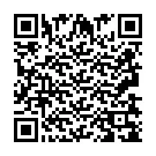 QR код за телефонен номер +2693838111