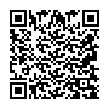 QR-Code für Telefonnummer +2693838117