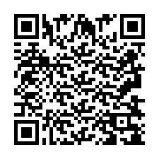 QR код за телефонен номер +2693838121