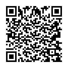 QR kód a telefonszámhoz +2693838123