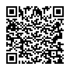 QR-код для номера телефона +2693838125