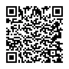 QR-Code für Telefonnummer +2693838129