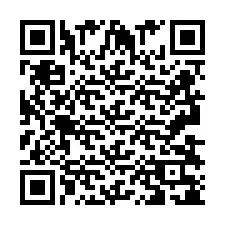 Código QR para número de teléfono +2693838131