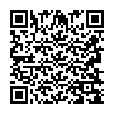 QR код за телефонен номер +2693838132