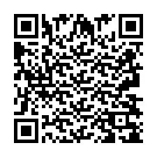 QR Code สำหรับหมายเลขโทรศัพท์ +2693838138