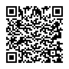 QR код за телефонен номер +2693838140