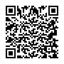 QR-код для номера телефона +2693838157