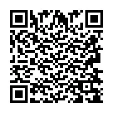 QR-koodi puhelinnumerolle +2693838162