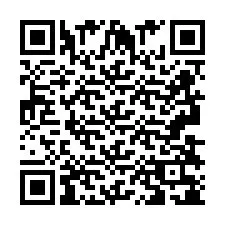 QR Code pour le numéro de téléphone +2693838165