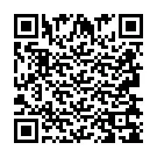 QR код за телефонен номер +2693838186