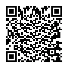 Kod QR dla numeru telefonu +2693838190