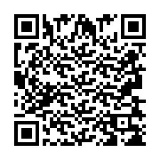 Codice QR per il numero di telefono +2693838203