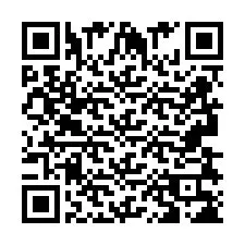 Kode QR untuk nomor Telepon +2693838207