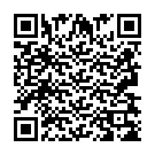 QR код за телефонен номер +2693838209