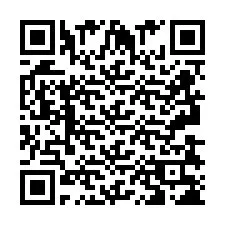 QR-Code für Telefonnummer +2693838210