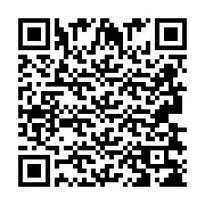 Codice QR per il numero di telefono +2693838213