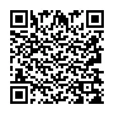 QR-code voor telefoonnummer +2693838218