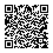 QR-Code für Telefonnummer +2693838225