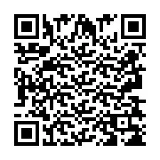 QR Code pour le numéro de téléphone +2693838248