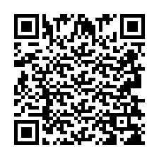 Codice QR per il numero di telefono +2693838256