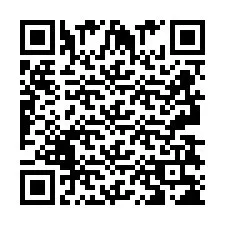 QR код за телефонен номер +2693838258