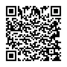 QR-code voor telefoonnummer +2693838262