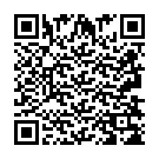 QR-код для номера телефона +2693838264