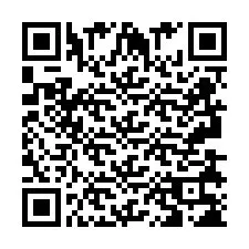 QR-koodi puhelinnumerolle +2693838284