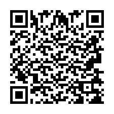 QR kód a telefonszámhoz +2693838287