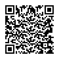 QR-code voor telefoonnummer +2693838295