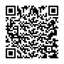 QR-Code für Telefonnummer +2693838315